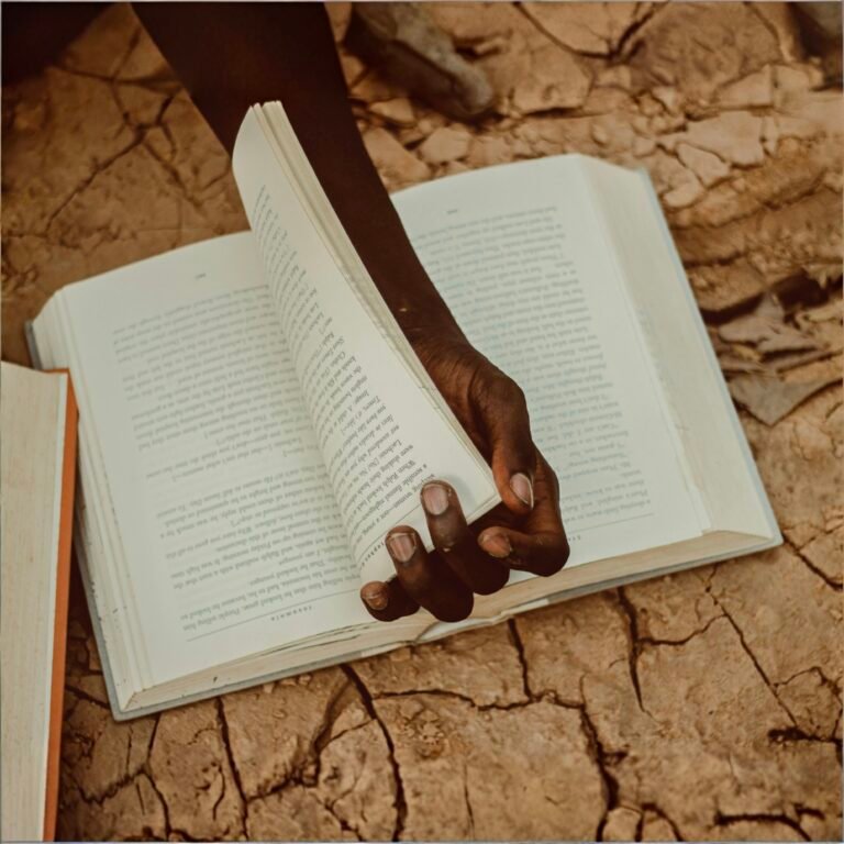 img 20260328 113137.jpg